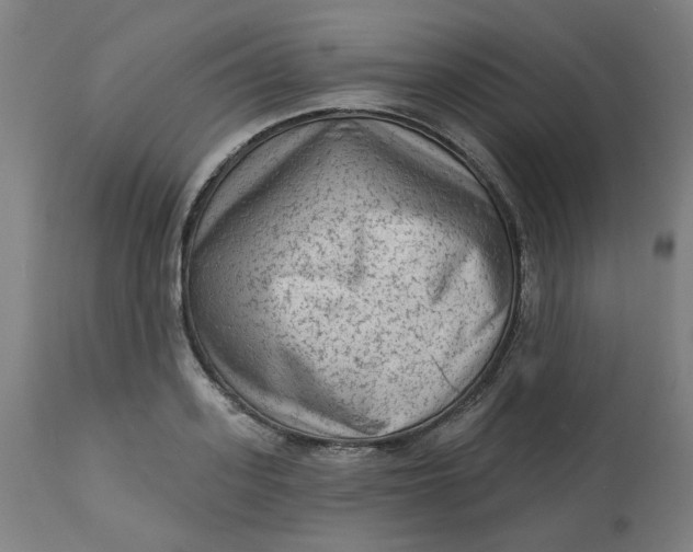 X0000113020939200909171450