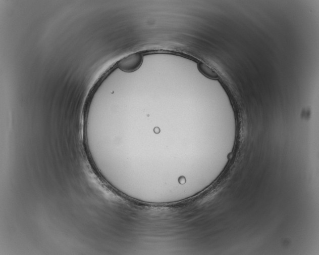 X0000113020940200909171450