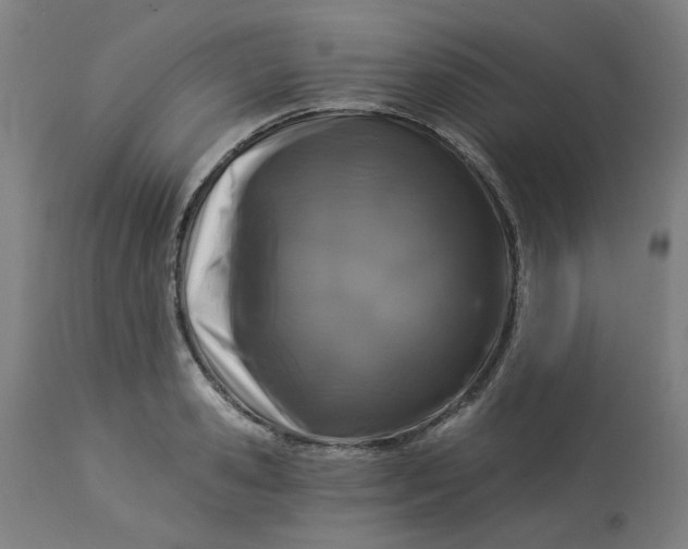 X0000113020941200909171450