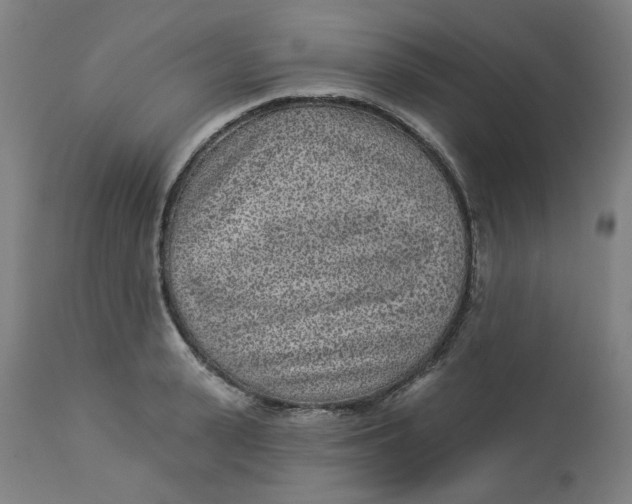 X0000113020943200909171450