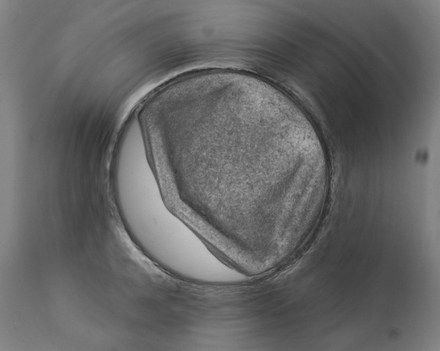 X0000113020944200909171450