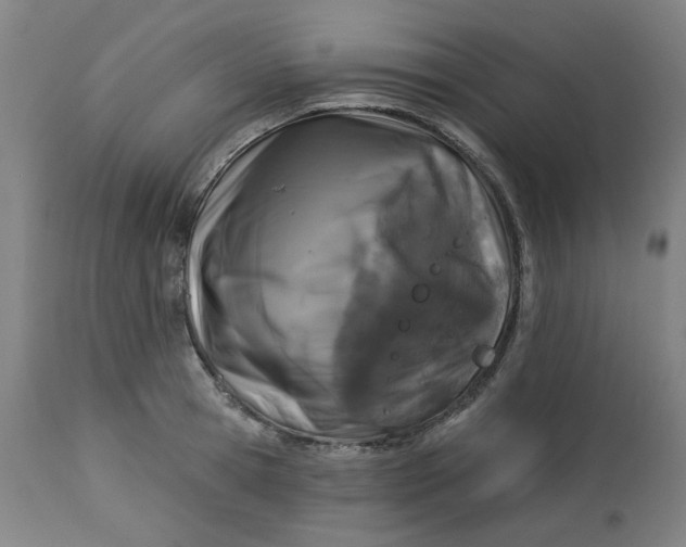 X0000113020945200909171450