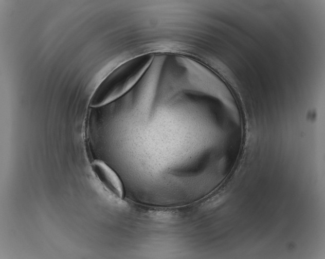 X0000113020946200909171450