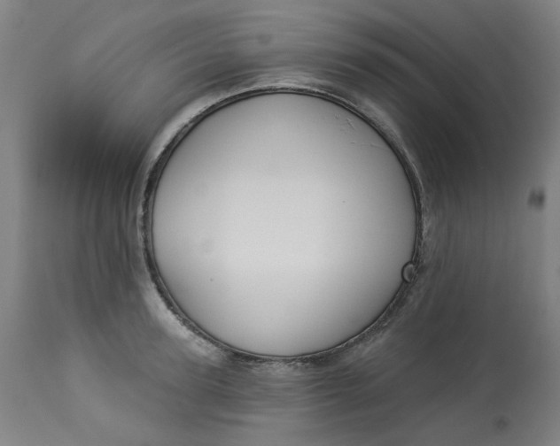 X0000113020947200909171450