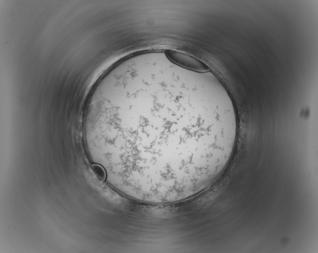 X0000113020948200909171450