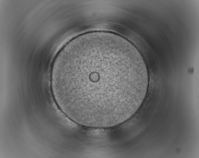 X0000113020950200909171450