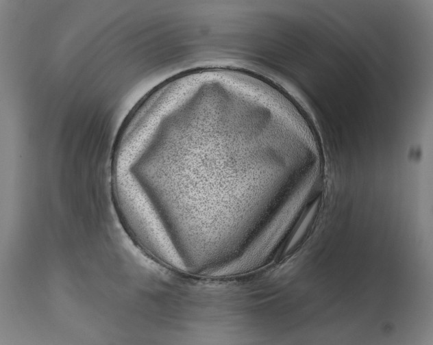 X0000113020951200909171450