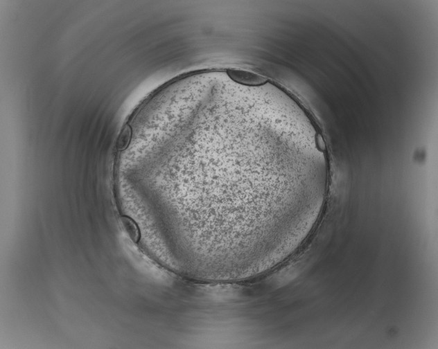 X0000113020952200909171450