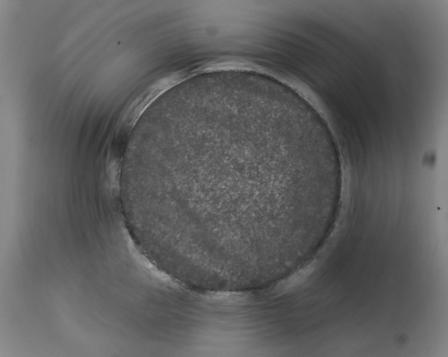 X0000113020953200909171450