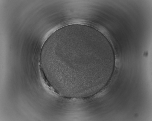 X0000113020954200909171450