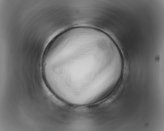 X0000113020957200909171450