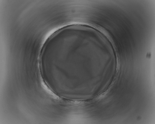 X0000113020958200909171450