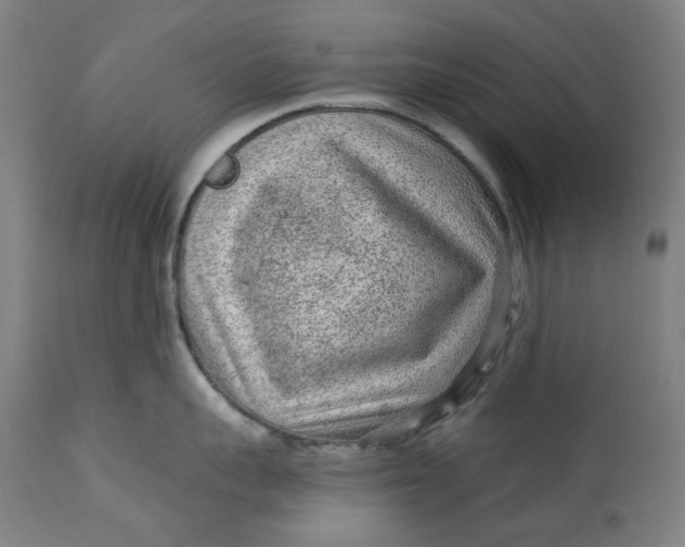 X0000113020959200909171450