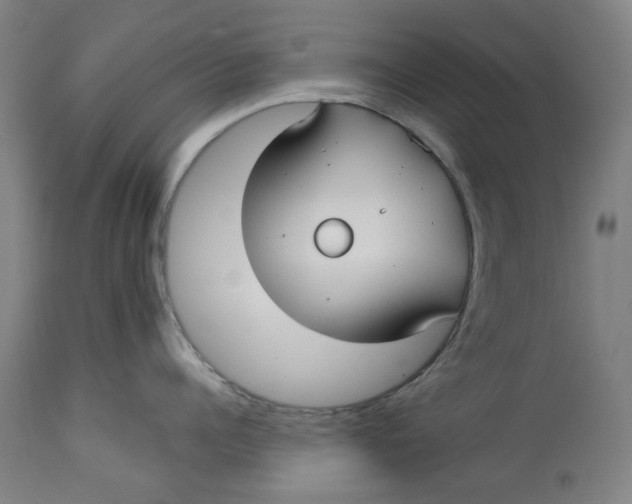 X0000113020960200909171450