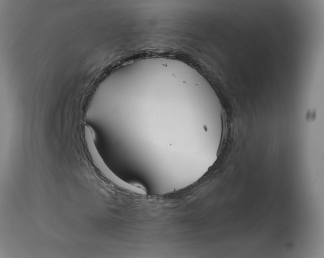 X0000113020961200909171450