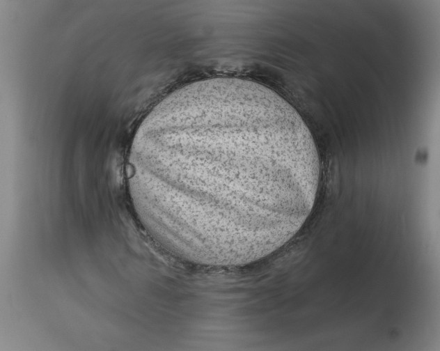 X0000113020962200909171450