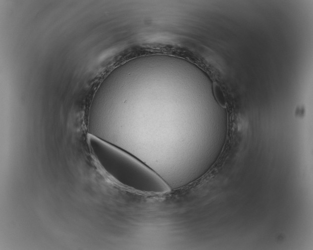 X0000113020965200909171450