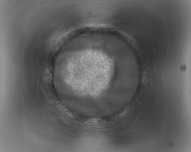 X0000113020966200909171450