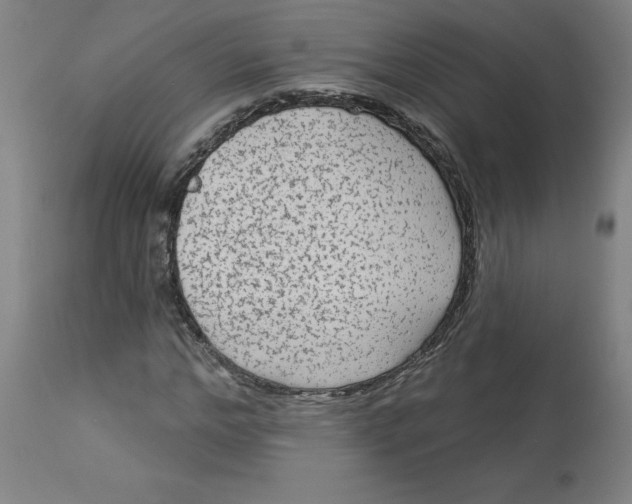 X0000113020968200909171449