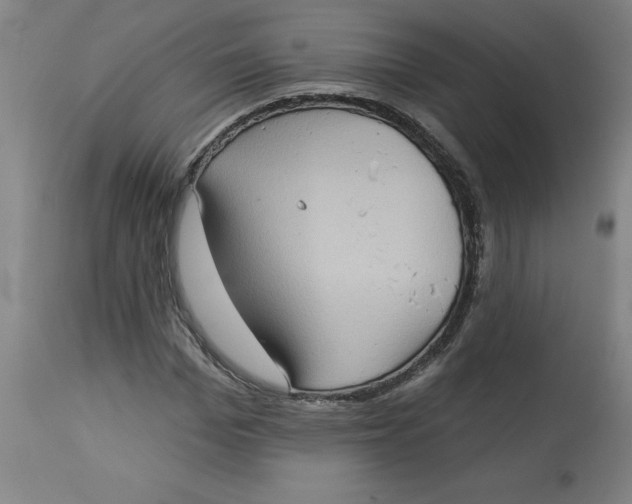 X0000113020969200909171449