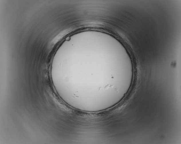 X0000113020970200909171449