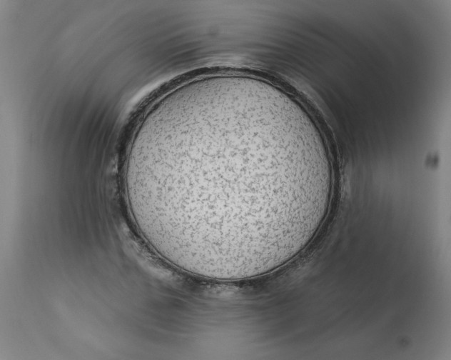 X0000113020971200909171449