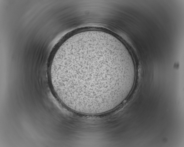 X0000113020972200909171449