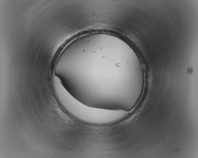 X0000113020973200909171449