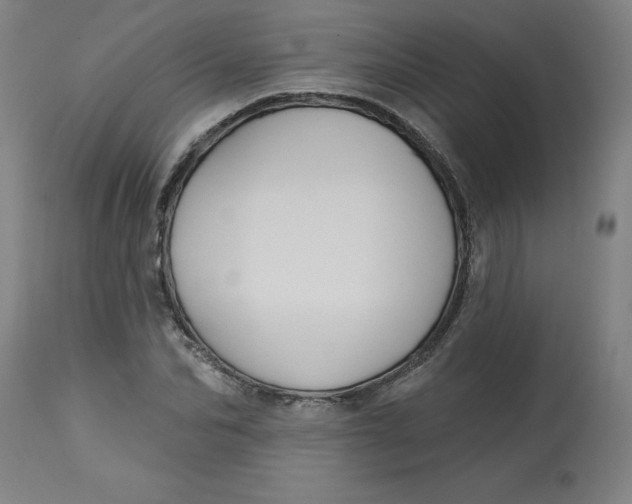 X0000113020974200909171449