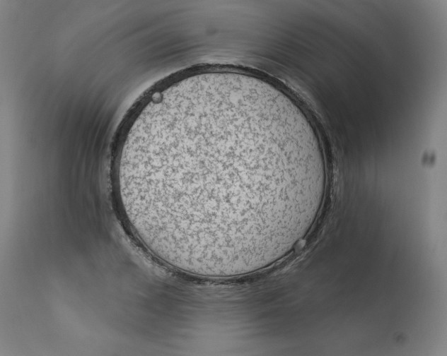 X0000113020976200909171449