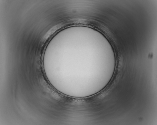 X0000113020978200909171449