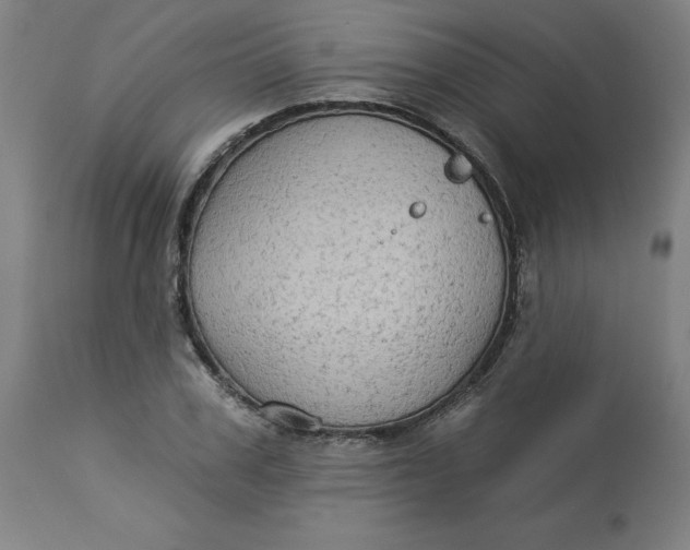 X0000113020979200909171449