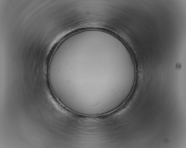 X0000113020981200909171449