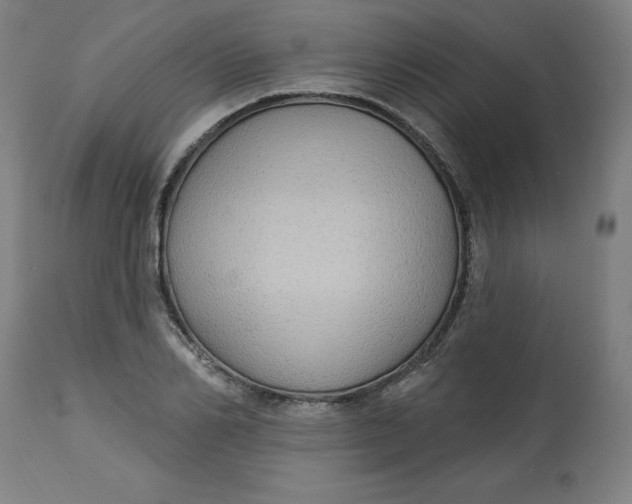 X0000113020982200909171449