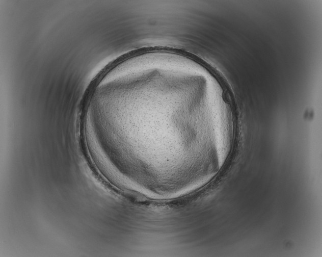 X0000113020983200909171449