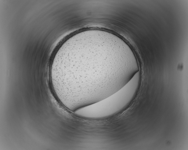 X0000113020984200909171449