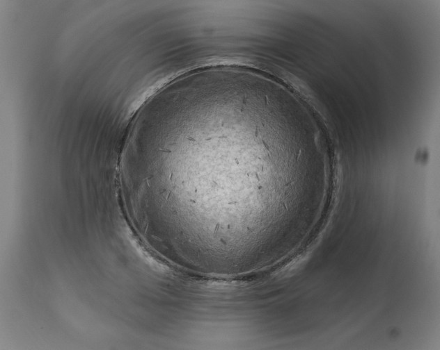 X0000113020985200909171449