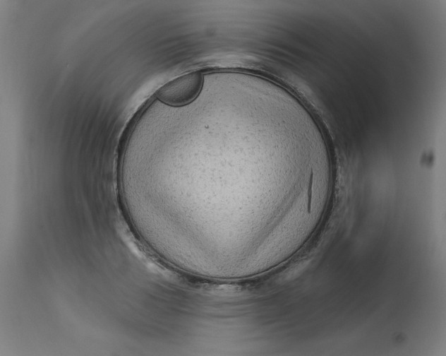 X0000113020986200909171449