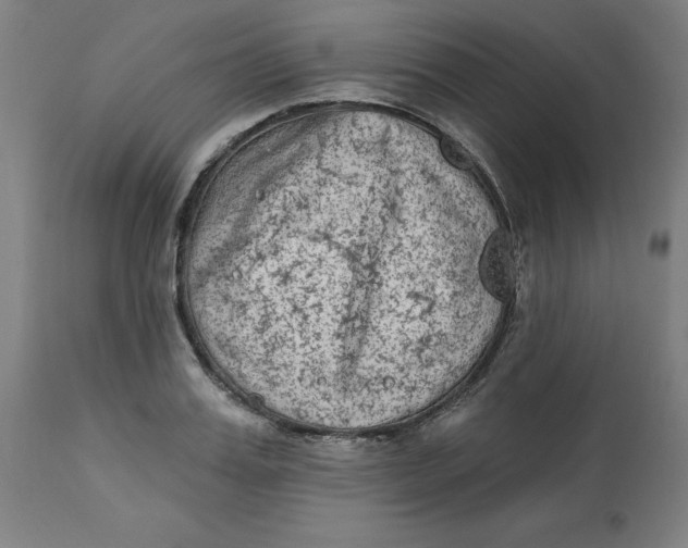 X0000113020987200909171449