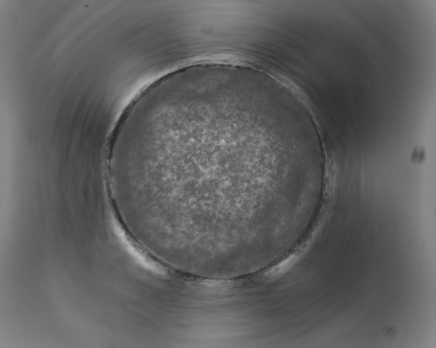 X0000113020989200909171449