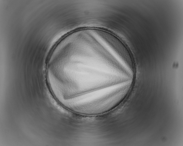 X0000113020990200909171449