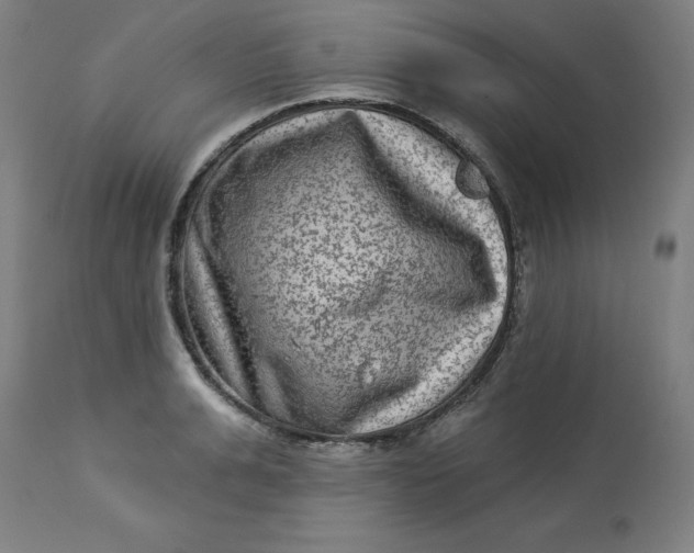 X0000113020991200909171449