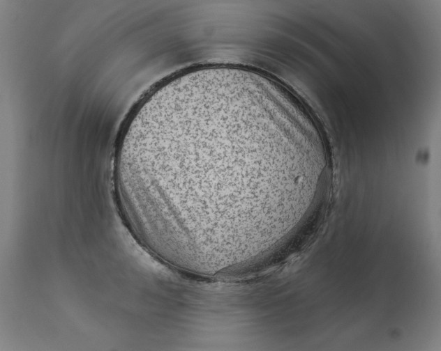 X0000113020992200909171449