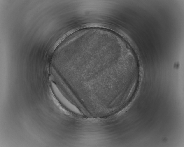 X0000113020993200909171449