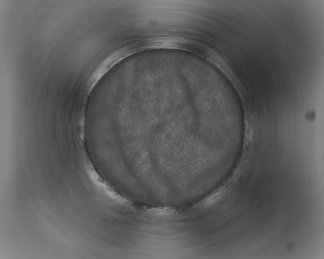 X0000113020994200909171449