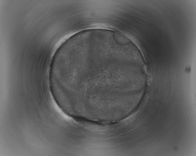 X0000113020995200909171449