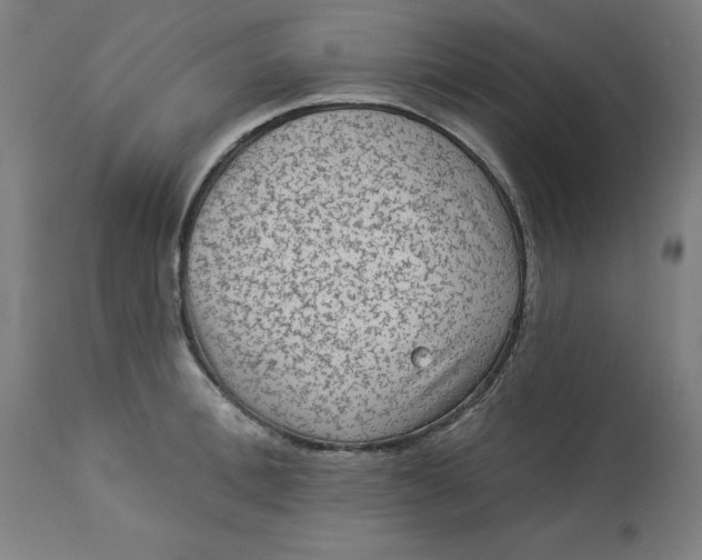 X0000113020996200909171449