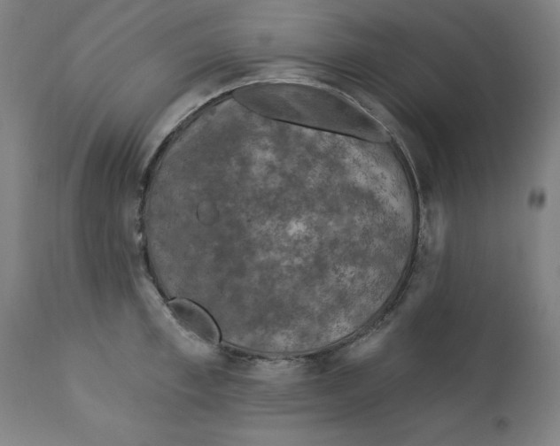 X0000113020997200909171449