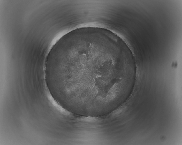 X0000113020998200909171449