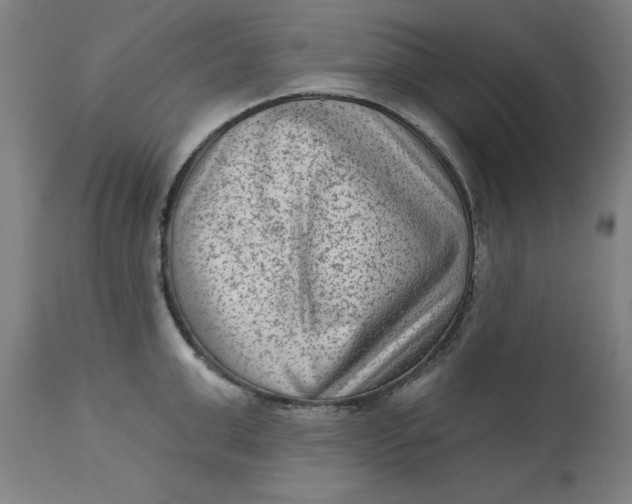 X0000113020999200909171449